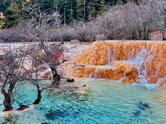 -黄龙山原始森林景区