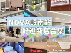 -岭南站NOVA