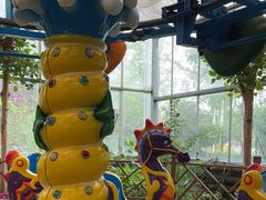 -南宫五洲植物乐园