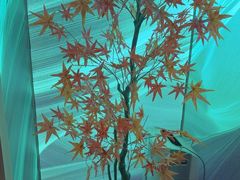 -水云空涧·沐足·采耳·按摩·SPA影院(琶洲店)