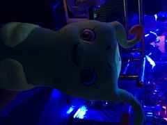 毛毛虫-SOS酒吧(盘胥路店)