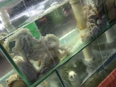 水产区-来之顺海鲜菜馆·青岛菜(栈桥店)