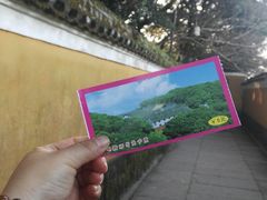 -普陀山风景区-佛顶山