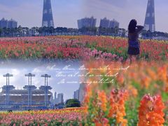 -海心沙亚运公园