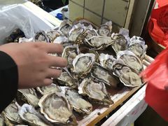 -朝陽市場