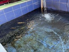 -北京龙庆四季香农家饭庄·灶台鱼·碳烤虹鳟鱼(龙庆峡店)