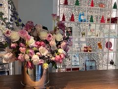 -齐玉齿科JADENTAL