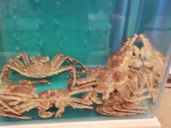 -财神岛·大连海鲜餐厅