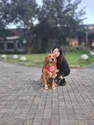 -金夫人婚纱摄影(总店)