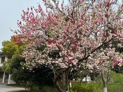 -南山风景名胜区