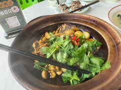 -五谷芳乳鸽王(梅沙老店)