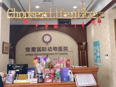 -宠爱国际动物医院· 猫科· 外科·中兽医(长白店)