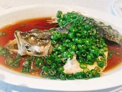 -听松楼-中餐厅.家宴(红梅公园店)