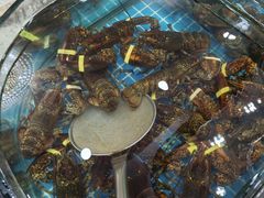 -渔码头食府(蓬莱阁店)
