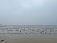 -青岛第一海水浴场