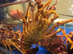 -海景壹号大酒店(滨湖店)