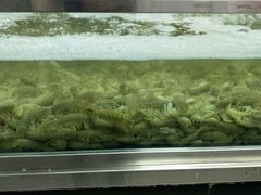 -盒马鲜生(宝地店)