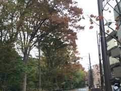 -三鹰之森吉卜力美术馆