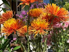 -懒人盐府人家(航天桥店)