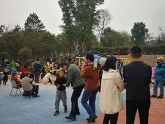 -铁山坪森林公园