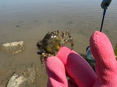 -东戴河风景区-止锚湾