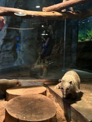 -Zoolung Zoolung动物主题公园(海信广场店)