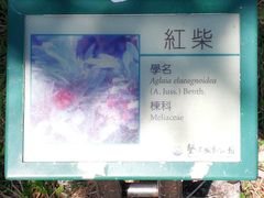 -鹅銮鼻公园