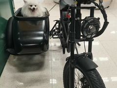 -帕帕拉兹宠物(亚洲旗舰店)