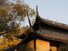 -红梅公园