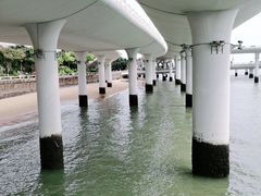 -演武大桥观景平台