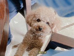 -一闻香迷宗蟹(金华江南店)