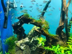 -多彩贵州城极地海洋世界