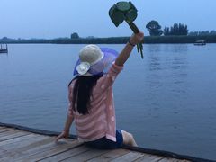 -白洋淀景区