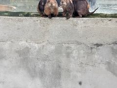 -成都欢乐谷