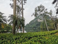 -星湖旅游景区七星岩