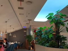 -悦海·家宴·冰花皮皮虾大锅贴(宝龙店)