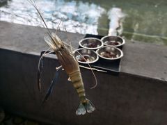 -光头佬室内钓虾场·烧烤·团建·亲子(中山八路店)