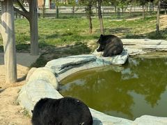 -太原动物园