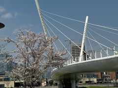 -映月湖中央公园