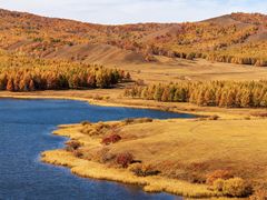 -塞罕坝国家级自然保护区