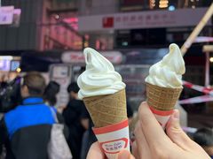 -富豪雪糕车流动点(尖沙咀店)