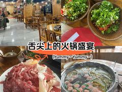 -龙大头庖汤店