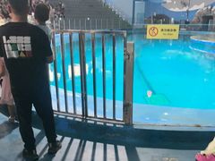 -苏州海洋馆
