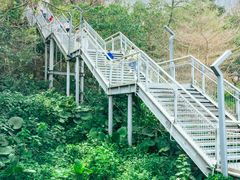 -佛山华盖山公园
