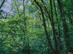 -钟山体育运动公园