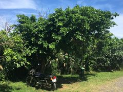 -龙坑生态保护区