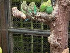 -正佳雨林生态植物园