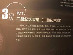 -呼和浩特博物馆