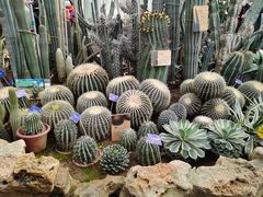 -国家植物园南园