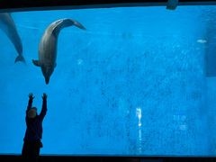 -海合安成都极地海洋公园